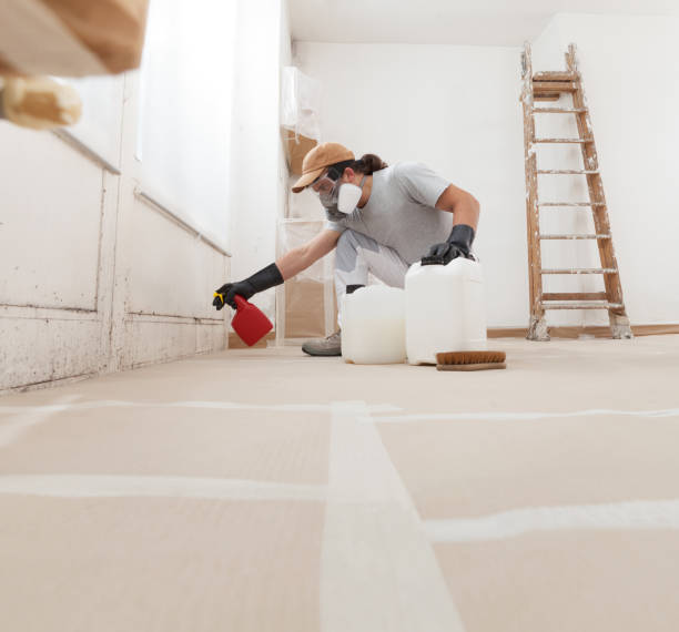 Best Post-Construction Mold Inspection  in Felton, DE